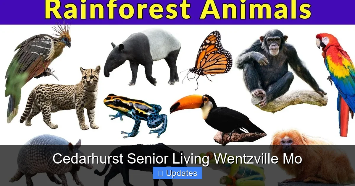 Cedarhurst Senior Living Wentzville Mo