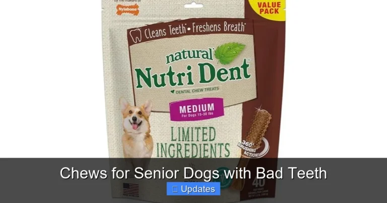 Chews for Senior Dogs with Bad Teeth