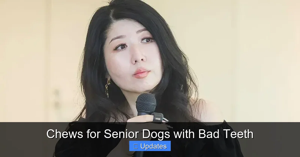Chews for Senior Dogs with Bad Teeth