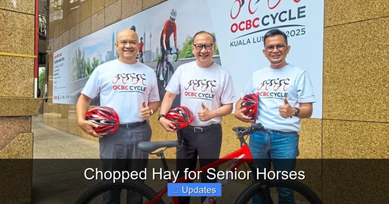 Chopped Hay for Senior Horses