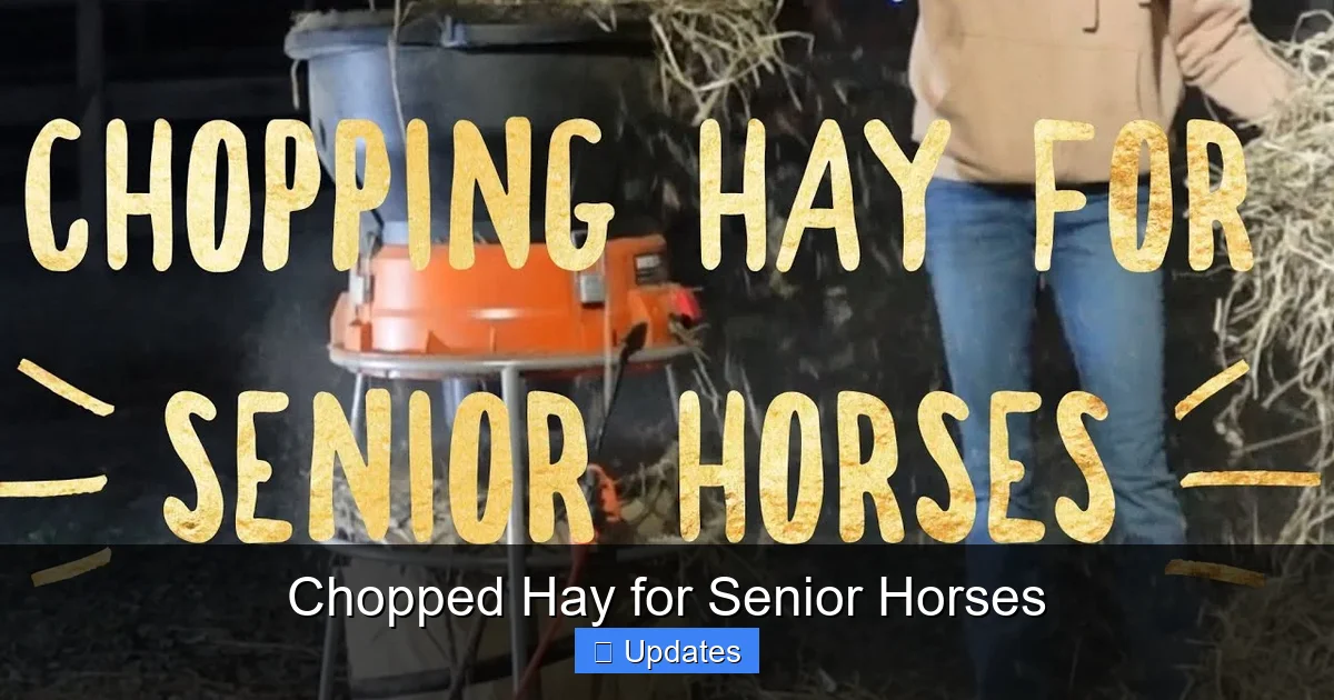 Chopped Hay for Senior Horses