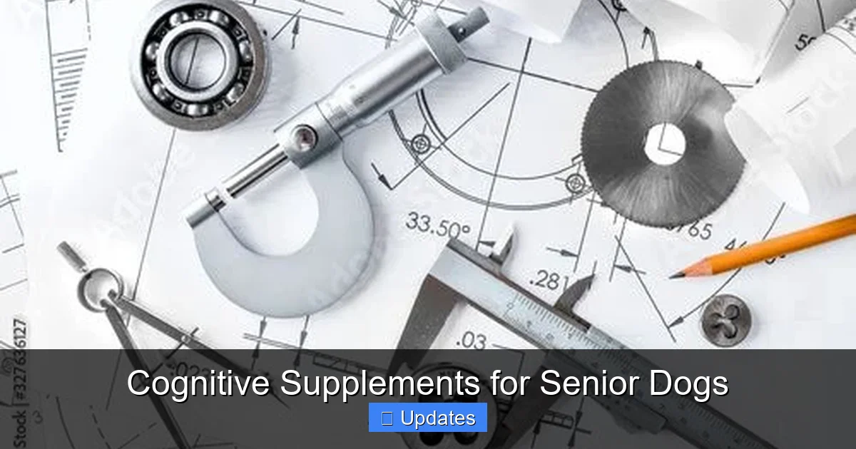 Cognitive Supplements for Senior Dogs