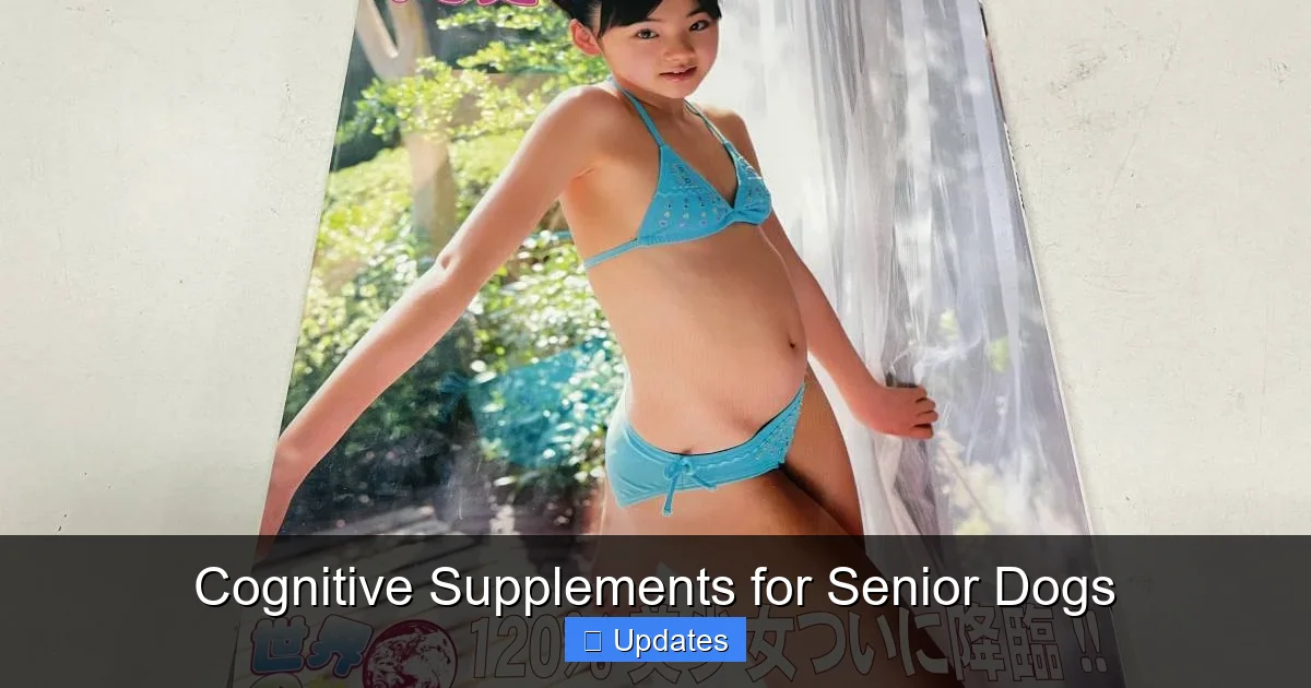 Cognitive Supplements for Senior Dogs