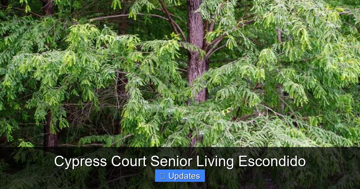 Cypress Court Senior Living Escondido