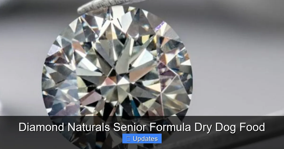 Diamond Naturals Senior Formula Dry Dog Food