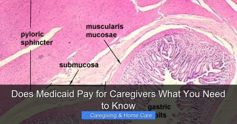 Does Medicaid Pay for Caregivers What You Need to Know