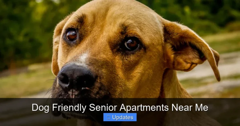 Dog Friendly Senior Apartments Near Me