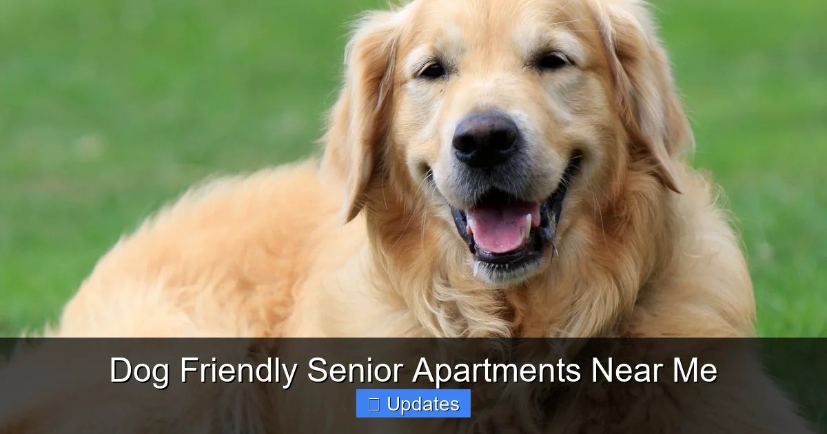 Dog Friendly Senior Apartments Near Me