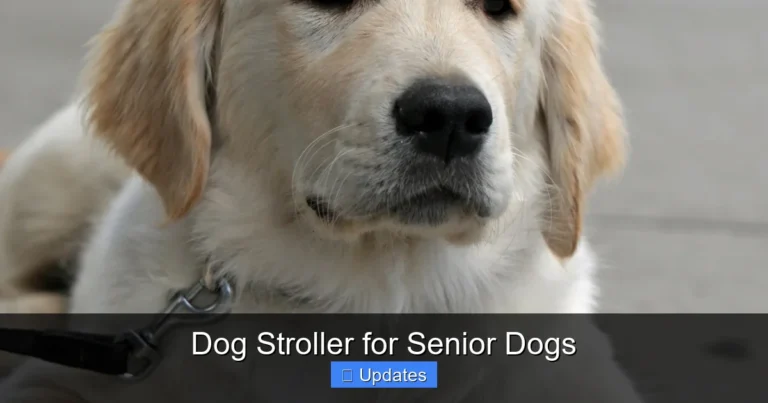 Dog Stroller for Senior Dogs