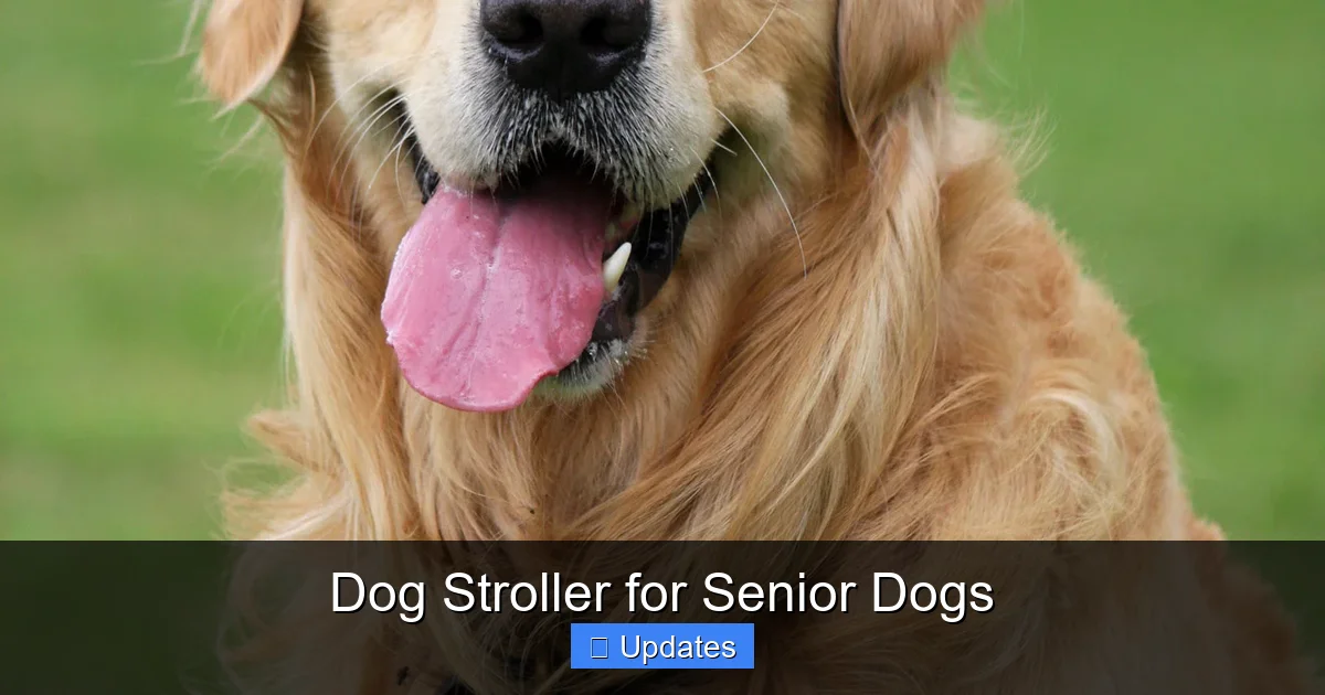 Dog Stroller for Senior Dogs