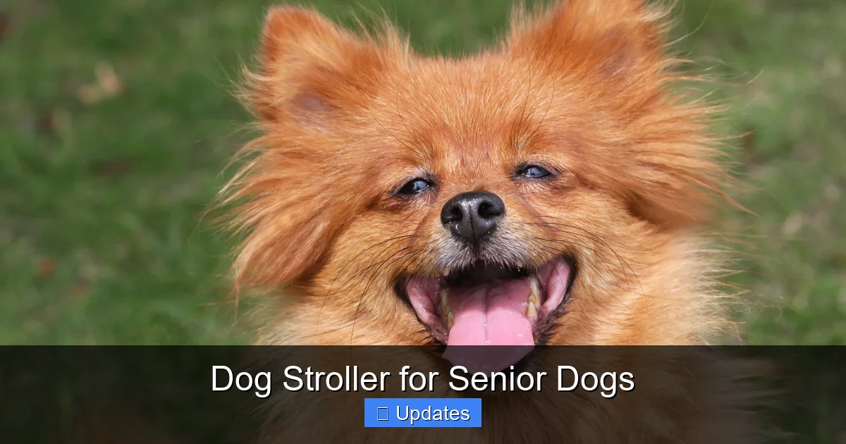 Dog Stroller for Senior Dogs