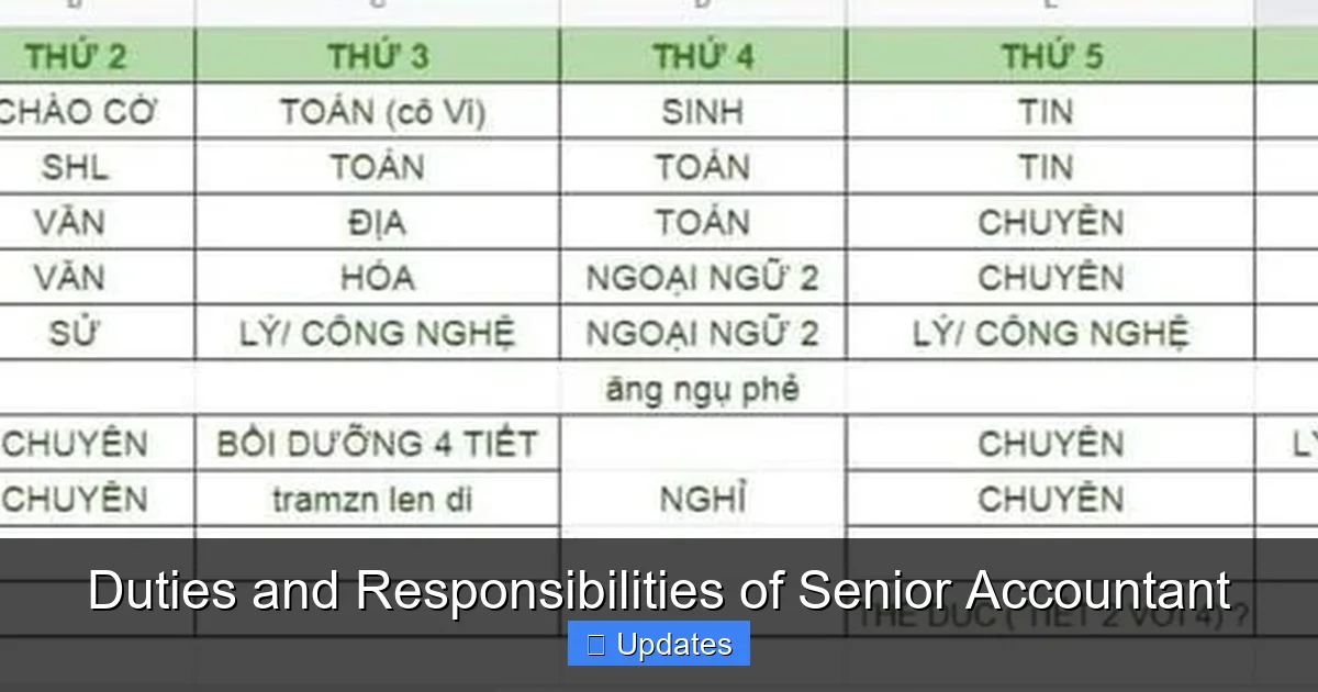 Duties and Responsibilities of Senior Accountant