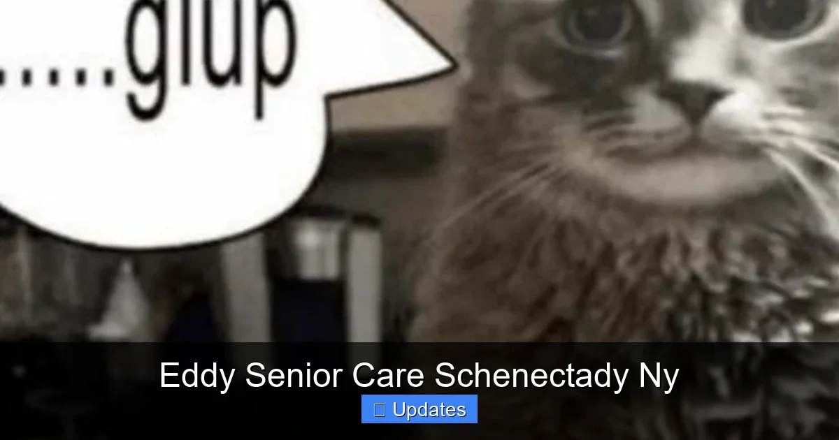 Eddy Senior Care Schenectady Ny
