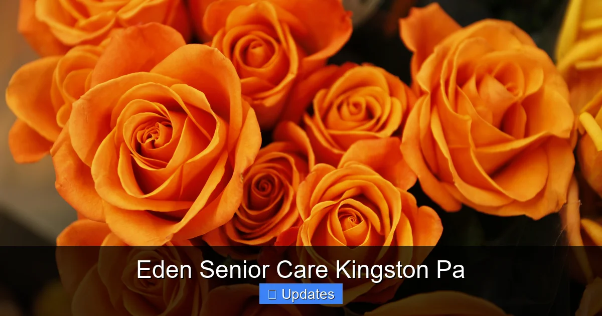 Eden Senior Care Kingston Pa