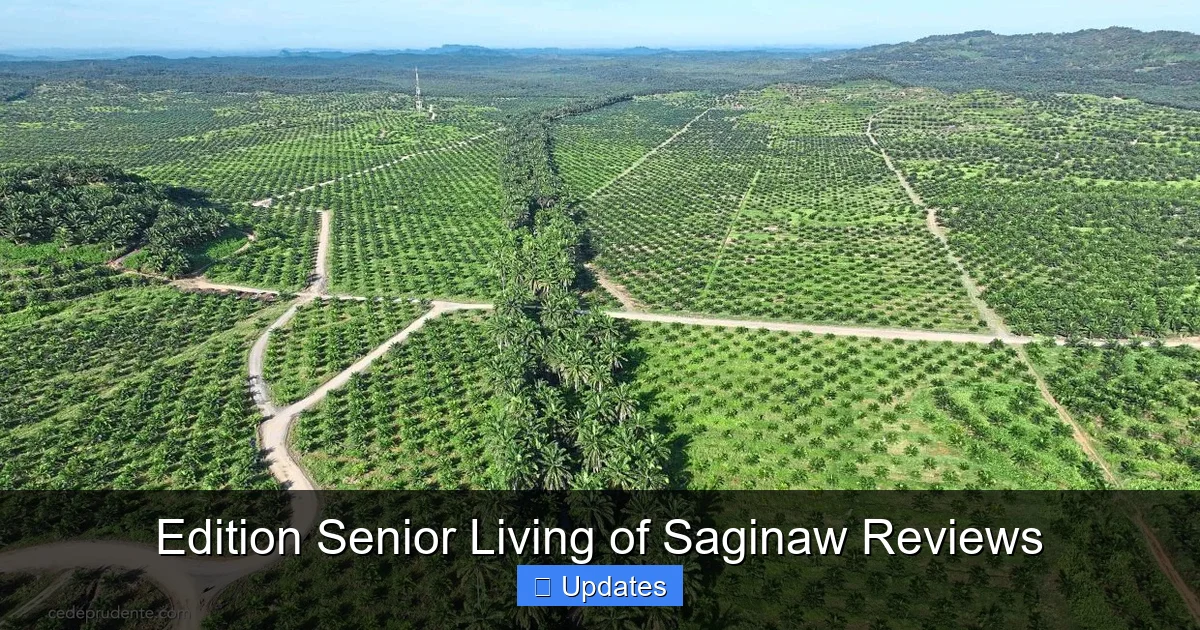 Edition Senior Living of Saginaw Reviews