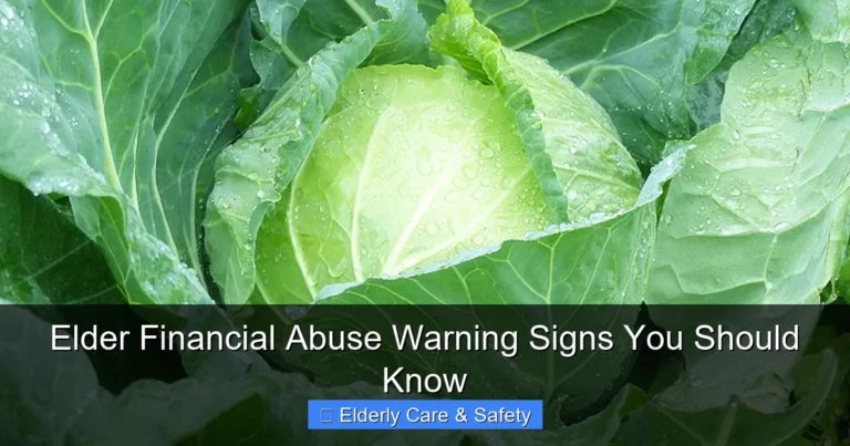 Elder Financial Abuse Warning Signs You Should Know