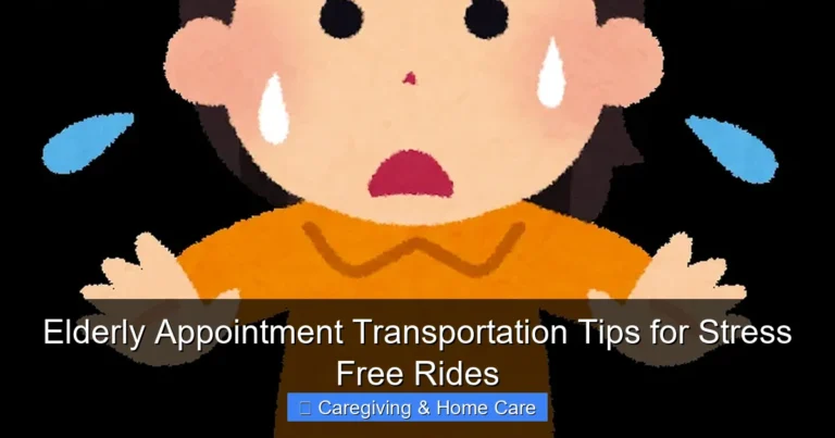 Elderly Appointment Transportation Tips for Stress Free Rides
