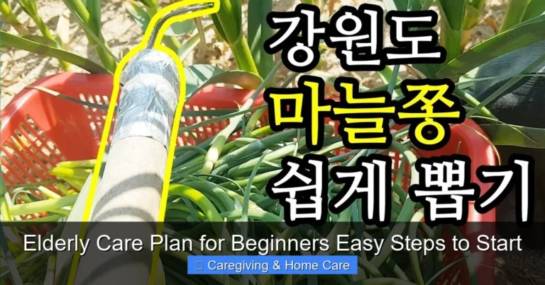 Elderly Care Plan for Beginners Easy Steps to Start