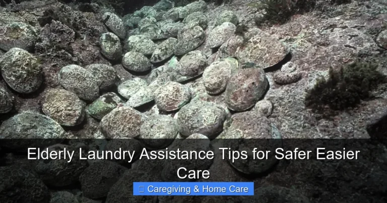 Elderly Laundry Assistance Tips for Safer Easier Care