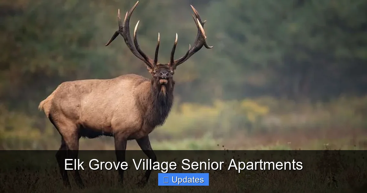 Elk Grove Village Senior Apartments