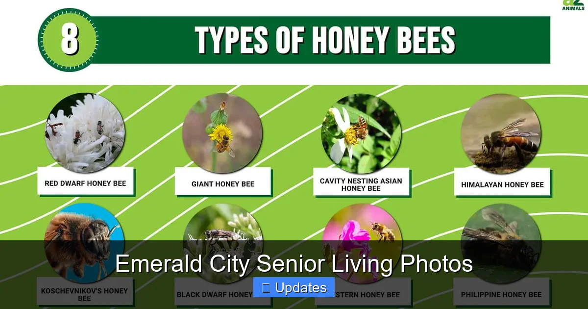 Emerald City Senior Living Photos