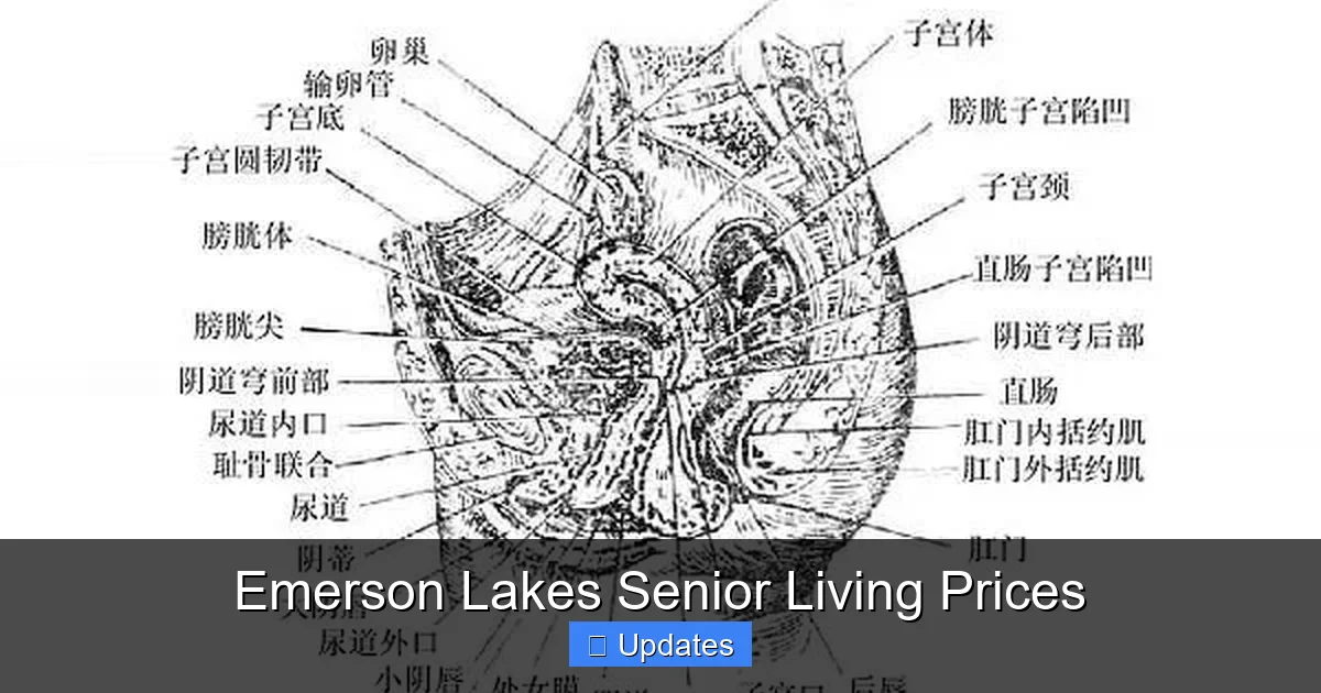 Emerson Lakes Senior Living Prices