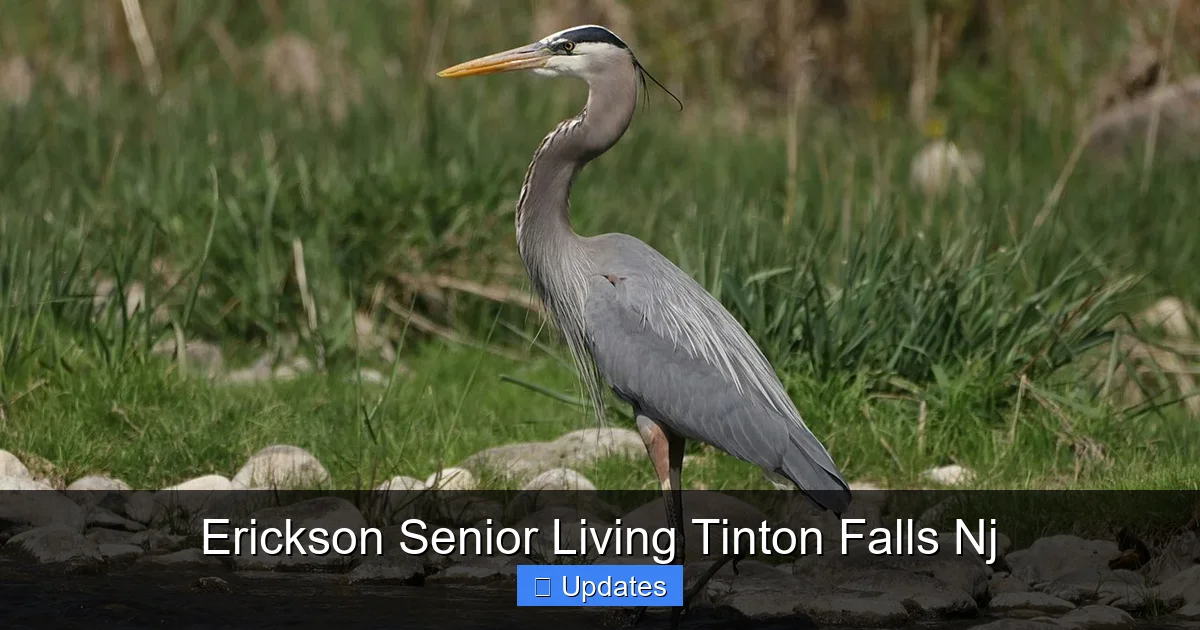 Erickson Senior Living Tinton Falls Nj