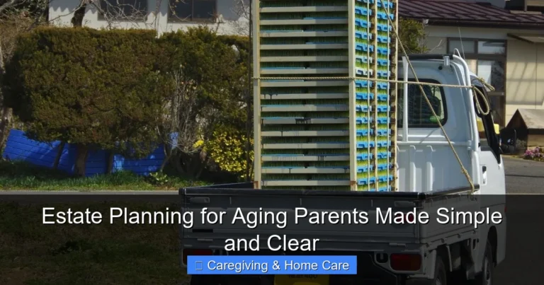 Estate Planning for Aging Parents Made Simple and Clear