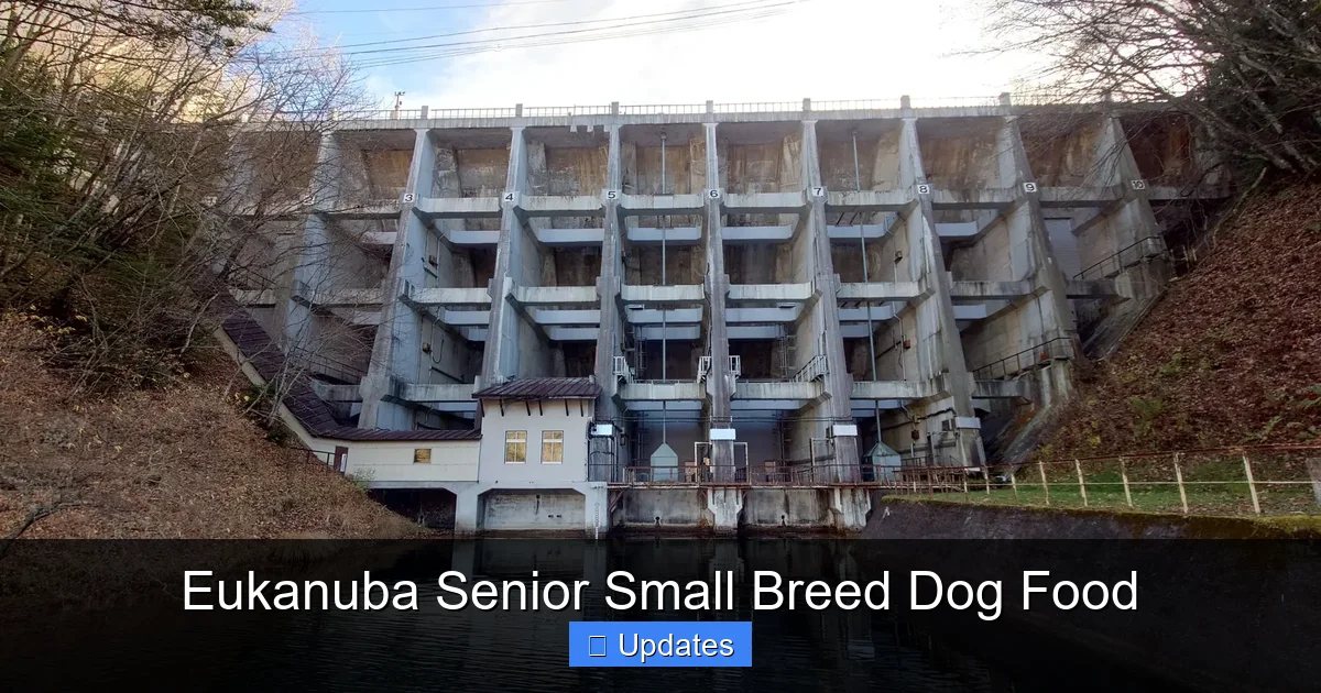 Eukanuba Senior Small Breed Dog Food