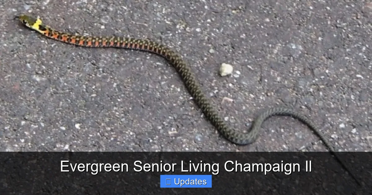 Evergreen Senior Living Champaign Il