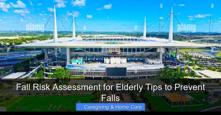 Fall Risk Assessment for Elderly Tips to Prevent Falls