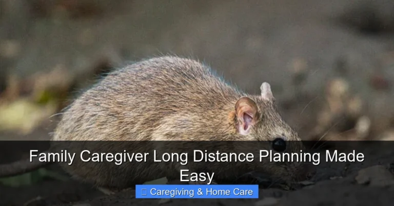 Family Caregiver Long Distance Planning Made Easy