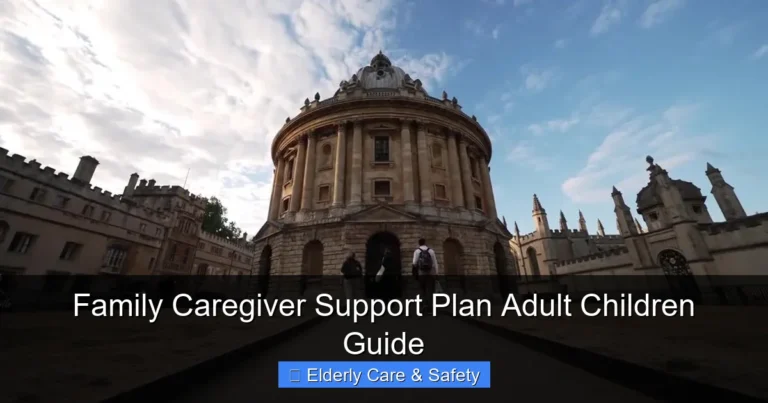 Family Caregiver Support Plan Adult Children Guide