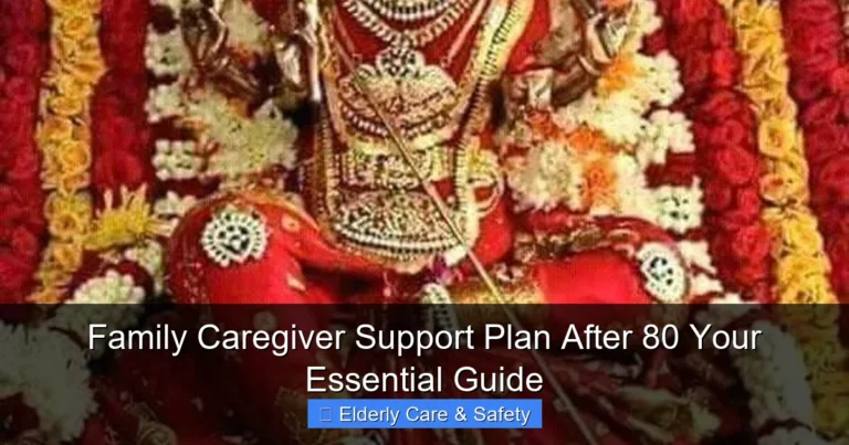 Family Caregiver Support Plan After 80 Your Essential Guide