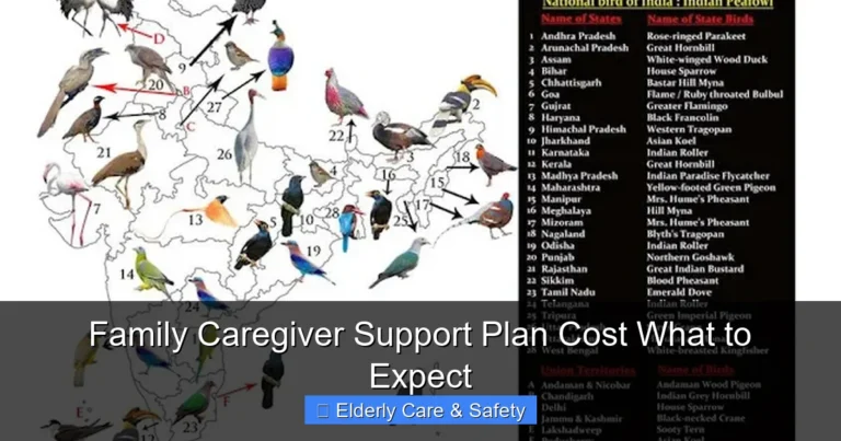 Family Caregiver Support Plan Cost What to Expect