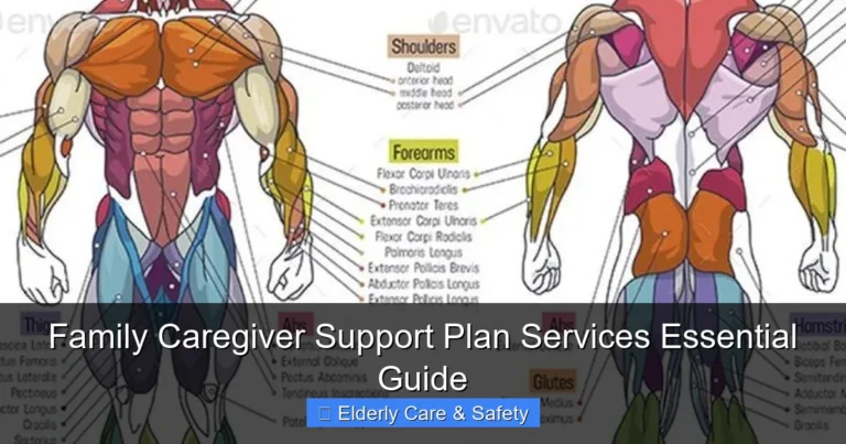 Family Caregiver Support Plan Services Essential Guide