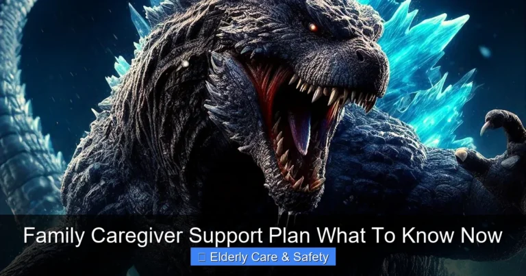 Family Caregiver Support Plan What To Know Now