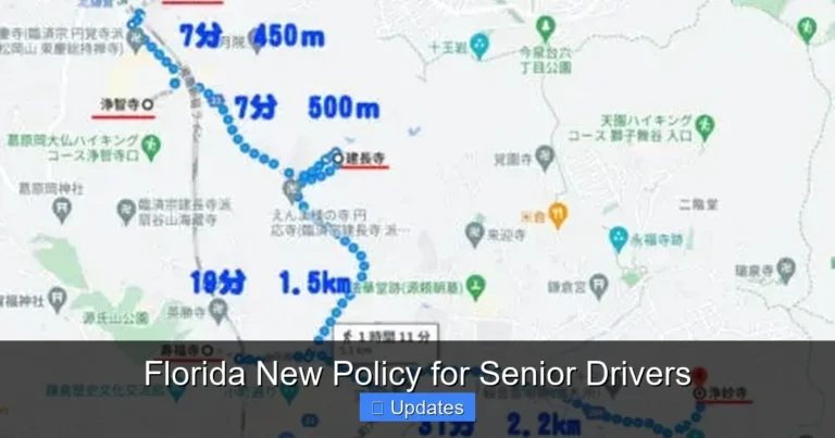 Florida New Policy for Senior Drivers