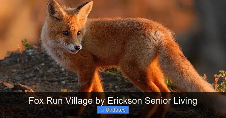 Fox Run Village by Erickson Senior Living