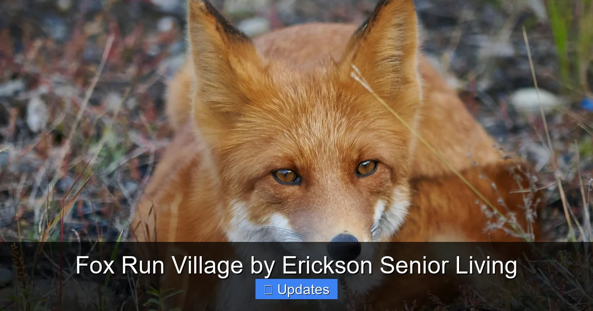 Fox Run Village by Erickson Senior Living