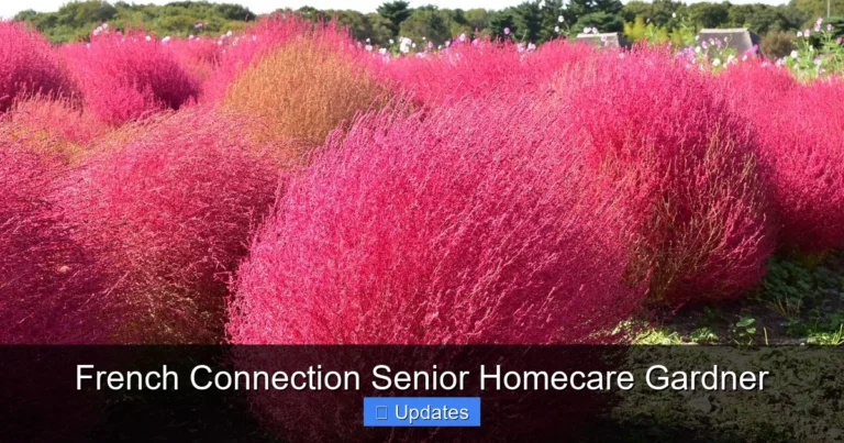 French Connection Senior Homecare Gardner