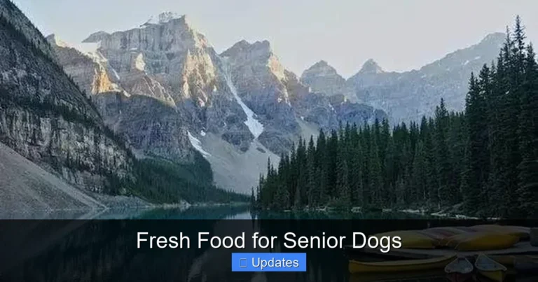 Fresh Food for Senior Dogs