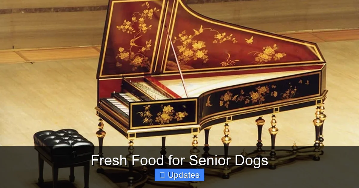 Fresh Food for Senior Dogs