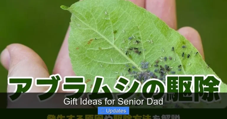 Gift Ideas for Senior Dad