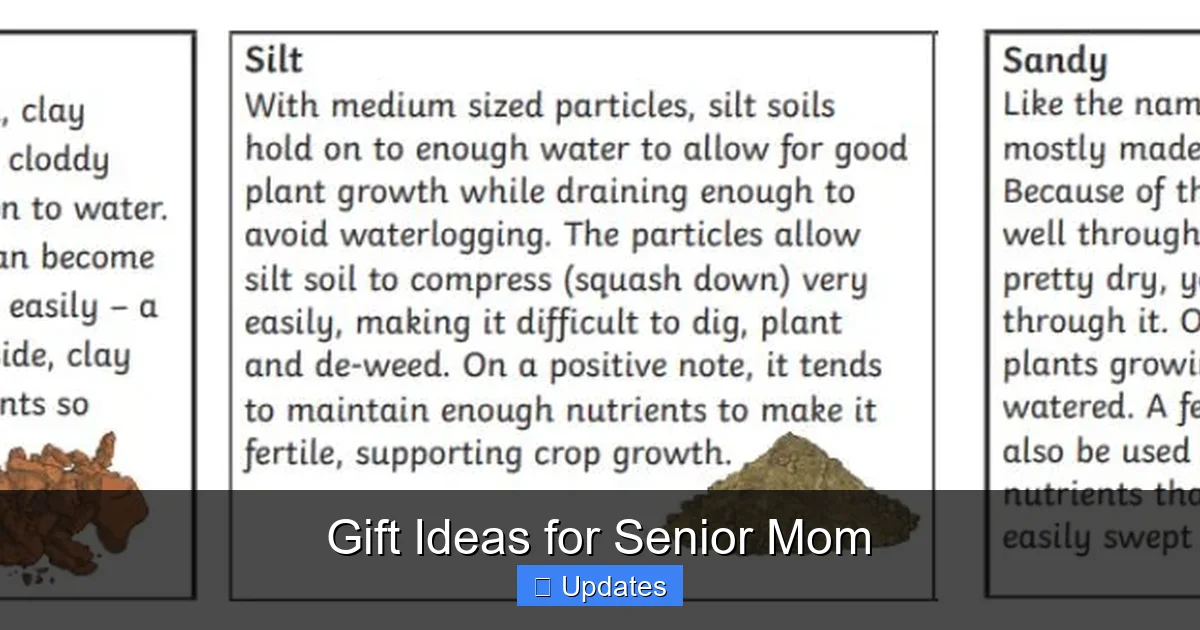 Gift Ideas for Senior Mom