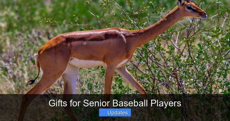 Gifts for Senior Baseball Players