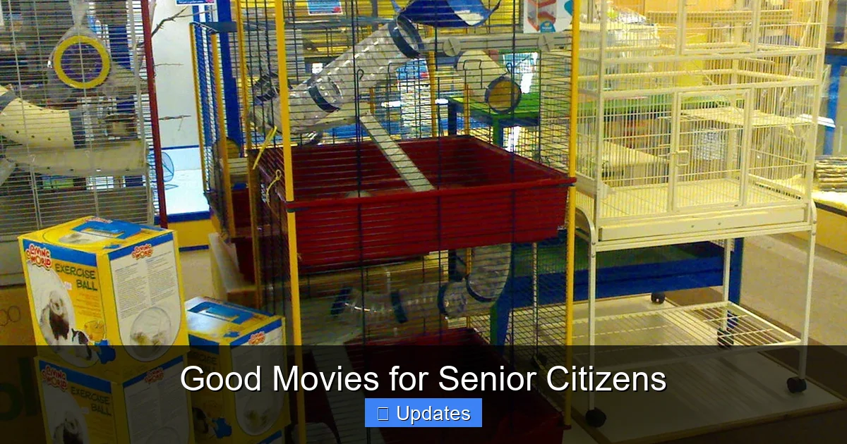 Good Movies for Senior Citizens