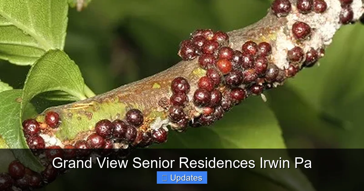 Grand View Senior Residences Irwin Pa