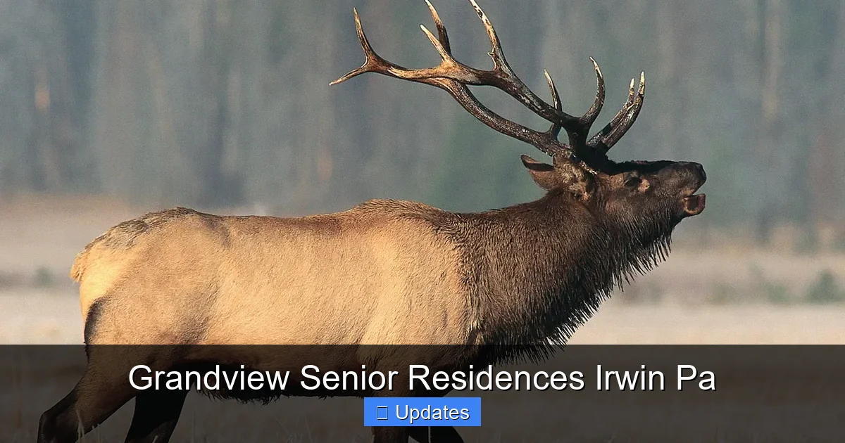 Grandview Senior Residences Irwin Pa