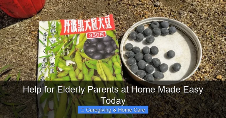 Help for Elderly Parents at Home Made Easy Today